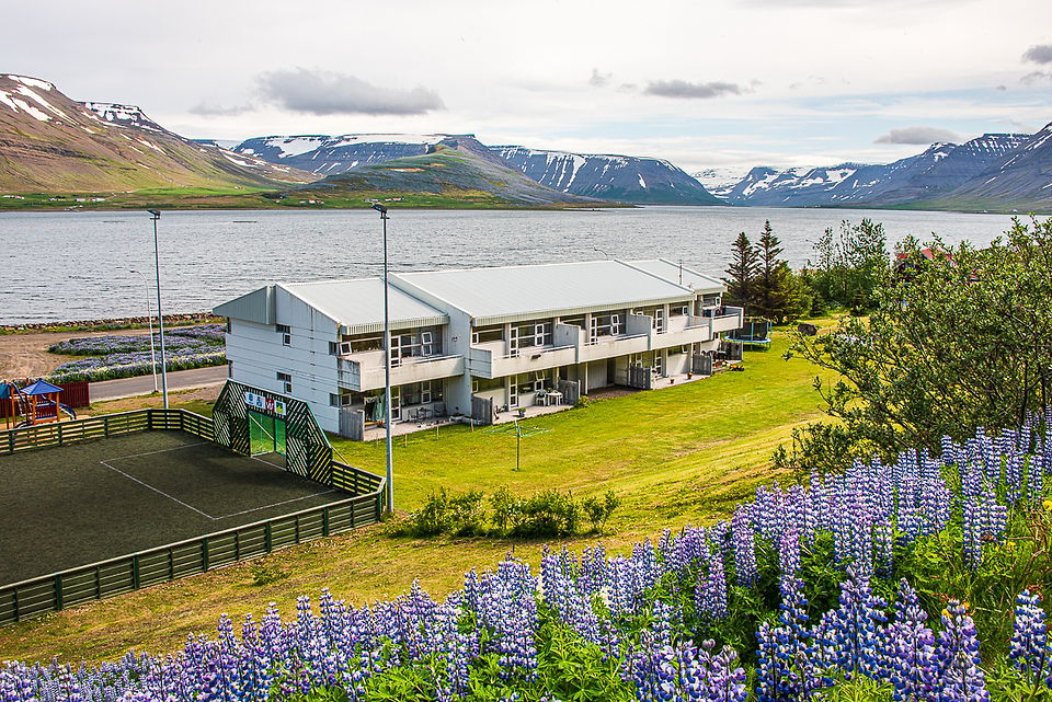 Apartments in Þingeyri village