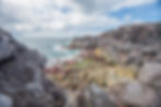 Shorlline by Ögmundarhraun lava field