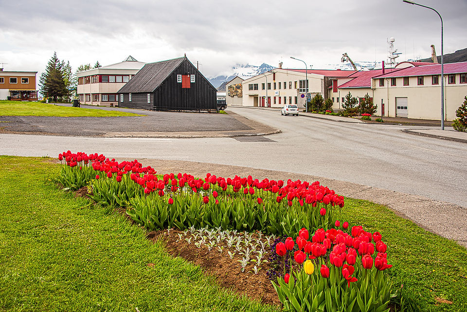 Summer in Eskifjörður