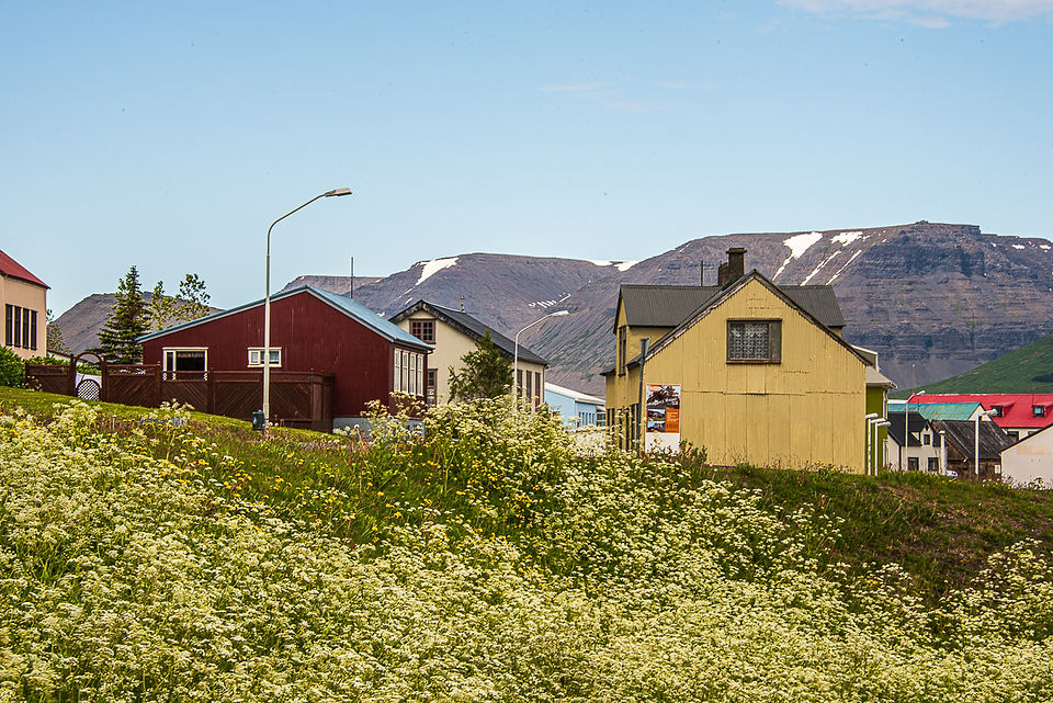 Homes in Þingeyri village
