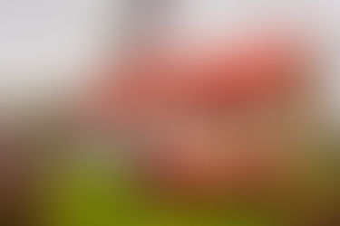 A restaurant at the center of Hvolsvöllur 