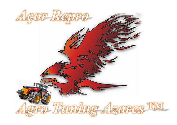 Agro Tuning Azores.jpg