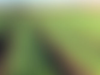 いよいよ年末の繁忙期に…