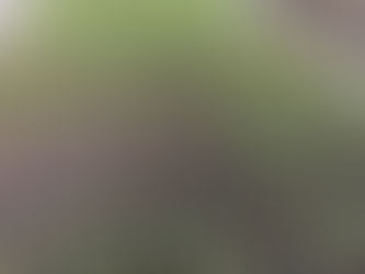 野菜が少しづつ成長してきています!
