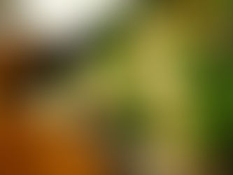 Roasted Broccoli With Shrimp