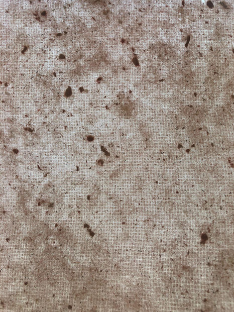 Afbeelding van WhatsApp op 2024-12-07 om 14.55.08_f551aeff