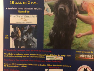 Charity Dog Wash!