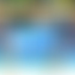 Akaa-Volley isännöi TUTO Volleyta Suomen Cupin välierissä