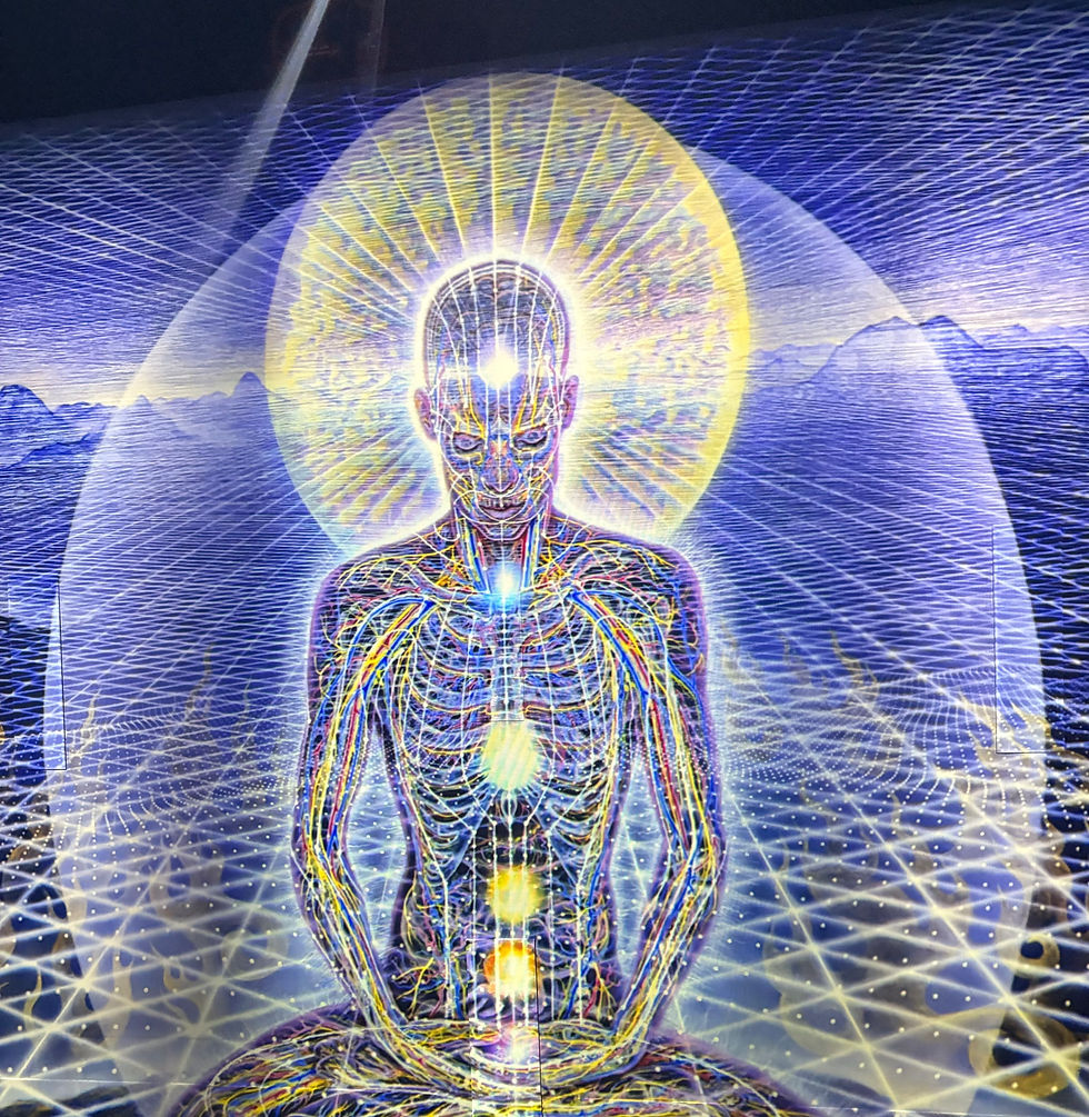 Echoes from the Deep: A Hypnosis Journey Through Past Lives, Lost Bonds, and Subconscious Wisdom