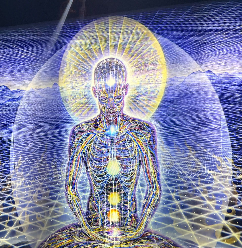 Ехо от дълбините: Хипнотично пътешествие през минали животи, изгубени връзки и мъдростта на подсъзнанието