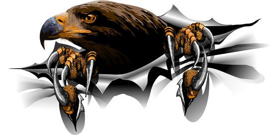 Golden Eagle Torn Metal