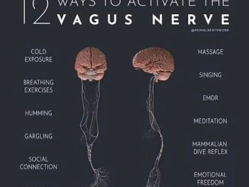 The Secret to Timeless Beauty: How the Vagus Nerve Impacts Anti-Aging and Overall Health