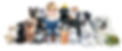 landing page_edited_edited_edited.jpg