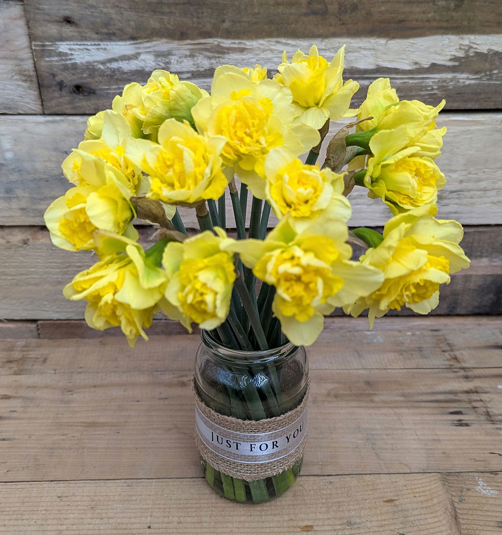 Daffodil Jar