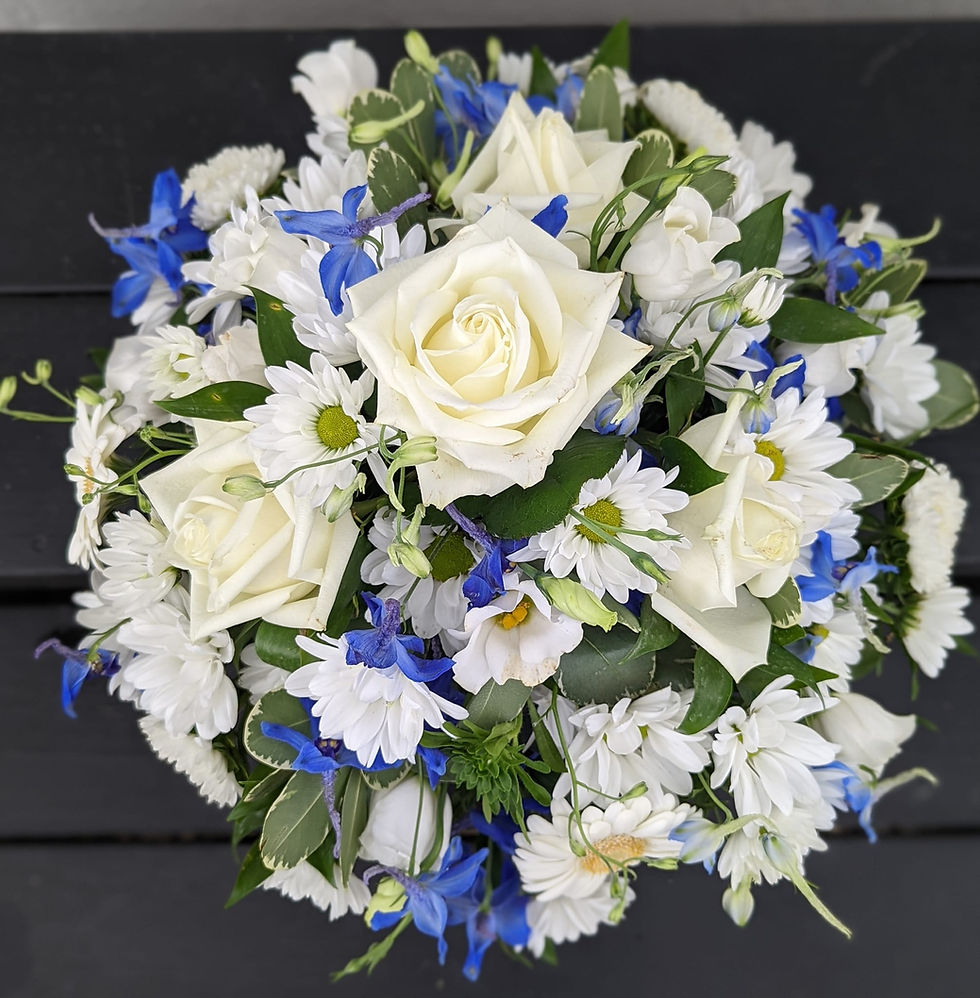 posy 6