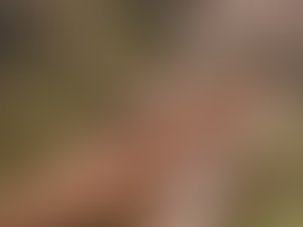 Day 0: Israel Roads: A Journey in the Land