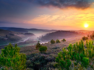 Day 10: The Road Home