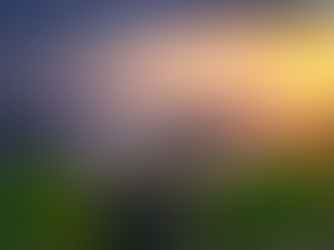 Day 10: The Road Home