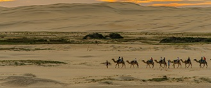 Magi: The Seekers who Found Jesus