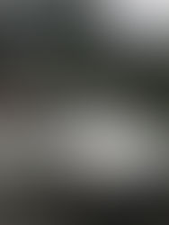 La 205, un sacré numéro !