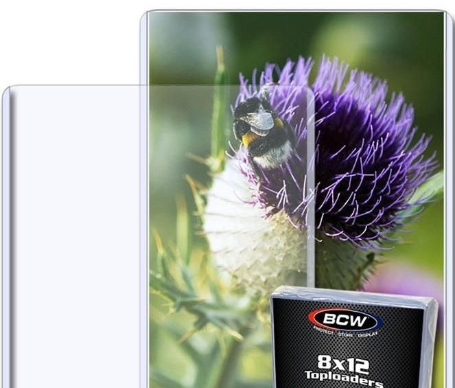 8 x 12 Photo Toploader Holder-5 Pack