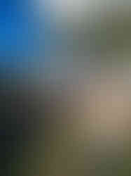 Spring Leap Wellness festival KZN Midlands_The Old Mushroom Farm