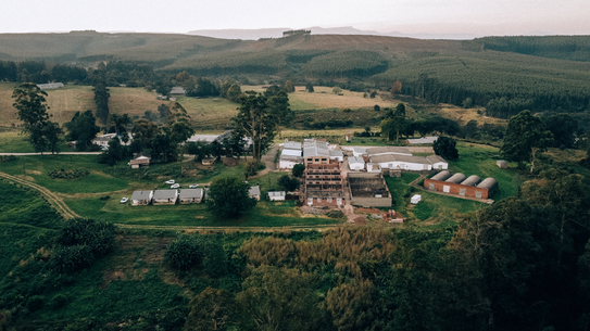 The Old Mushroom Farm renovations