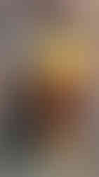 Midlands Books & Collectibles Shop at The Old Mushroom Farm Howick