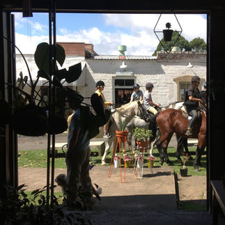 Best activities in the Karkloof, Midlands Meander near The Old Mushroom Farm