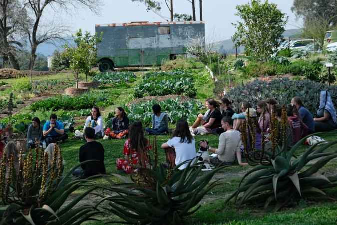 Spring Leap Wellness festival KZN Midlands_The Old Mushroom Farm