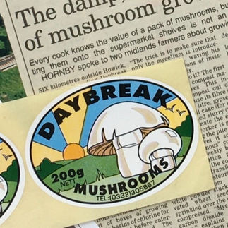 The Mushroom Farming days are long gone
