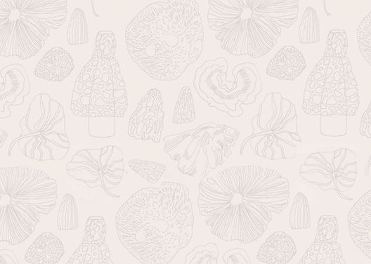 The Old Mushroom Farm Mushroom Line drawing pattern on beige background_edited.jpg