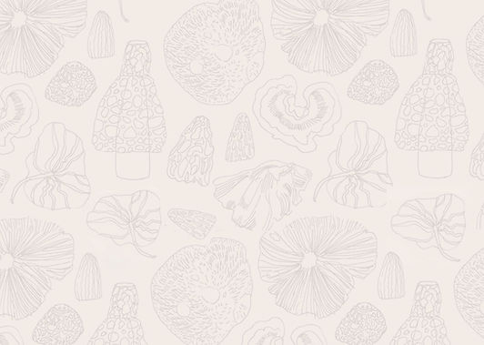 The Old Mushroom Farm Mushroom Line drawing pattern on beige background_edited.jpg