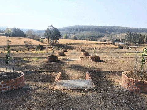 Regenerative landscaping