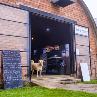 Great food at The Old Mushroom Farm best Howick restraunts