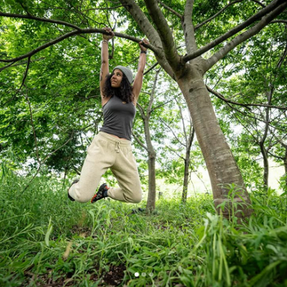 Visit the little forest where indigenous trees are being planted in a rehab project