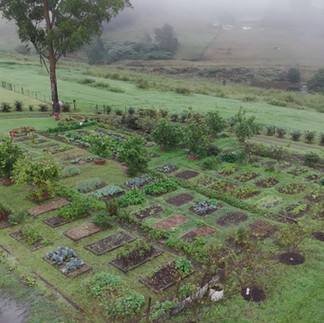 Food Garden Volunteer Programme at The Old Mushroom Farm South Africa