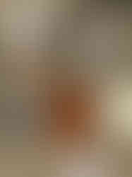 South African unique handmade goods shop The Old Mushroom Farm