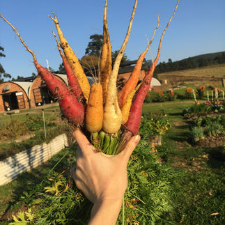 Travel South Africa as a farm volunteer