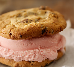 Ice Cream Sandwich