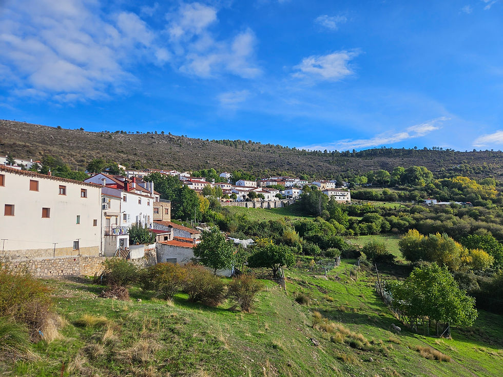Montería en Castilla la Mancha Février 2027