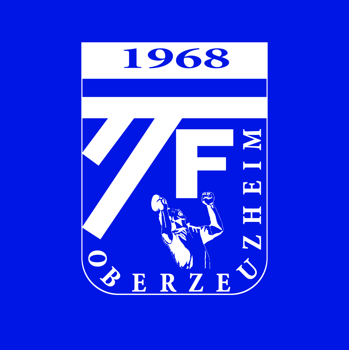 TTF_intern