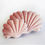 Thumbnail: shell pillow