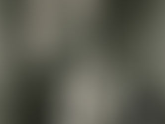 ታሪክን የኋሊት!