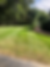 IMG_3071.PNG