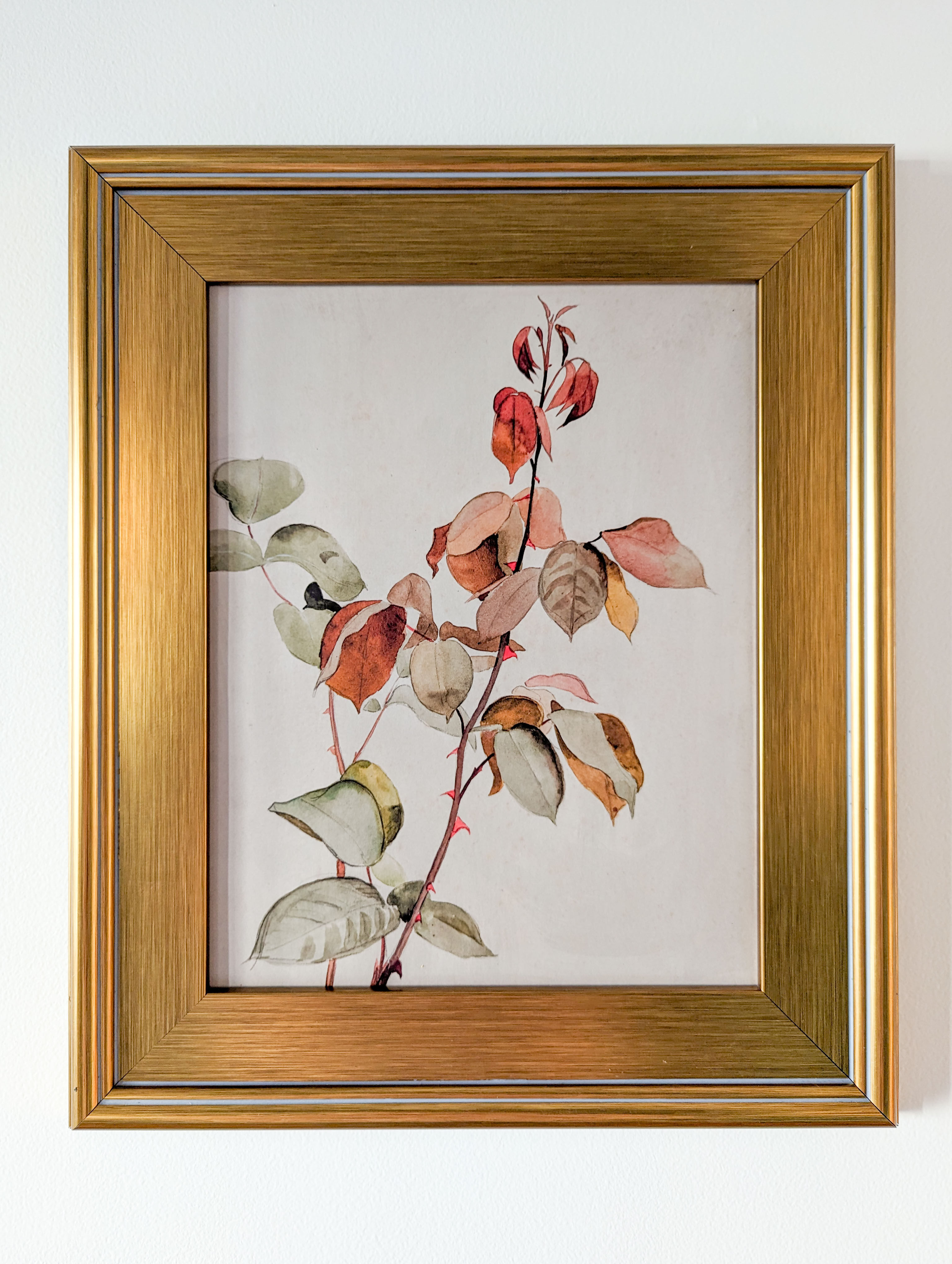 Framed Autumn Leaves