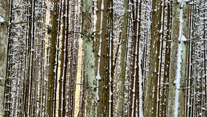 30-ies metų krizė: psichologinis paaiškinimas