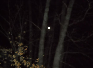 IMG_9490.JPG
