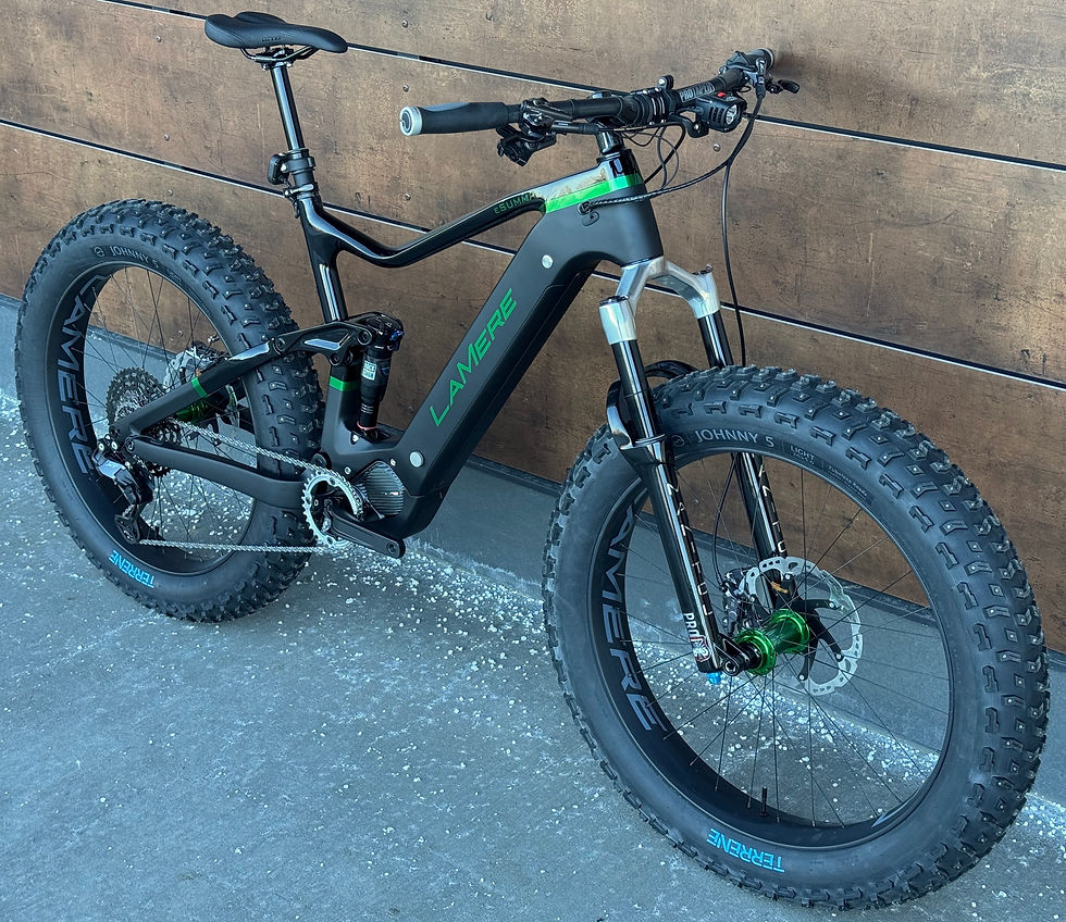 Steve's Custom Painted eSummit!