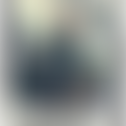 Ewok, che gatta orientale!